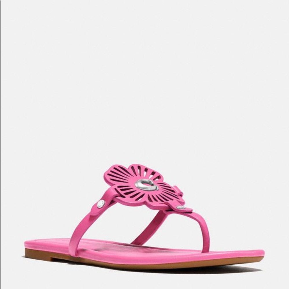 NWT in box Coach leather sandals